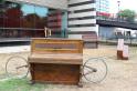 La voliere au Pianos 8 * 5184 x 3456 * (9.23MB)